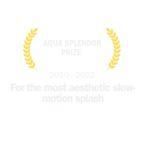 Premio 6